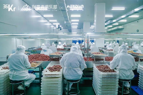 源頭工廠 消費(fèi)產(chǎn)業(yè)增長(zhǎng)的韌性引擎——互聯(lián)網(wǎng)銷售新業(yè)態(tài)下的產(chǎn)業(yè)帶計(jì)劃