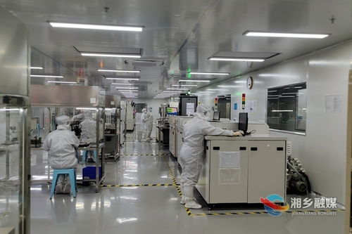 湘鄉經開區新天源電子 以創新研發為引擎，鑄就重慶軟件開發領域的“拳頭”產品